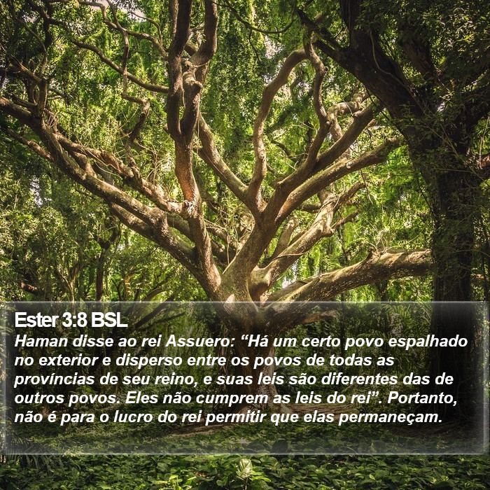 Ester 3:8 BSL Bible Study