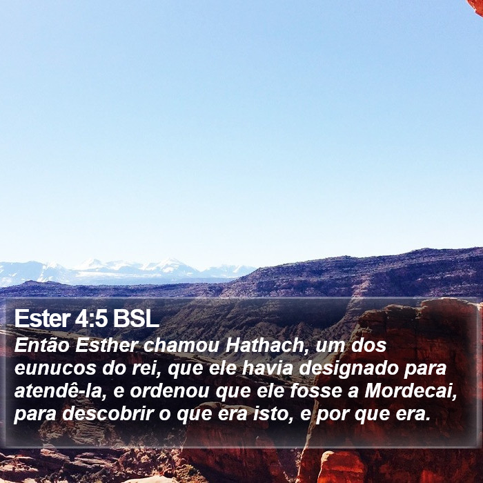 Ester 4:5 BSL Bible Study