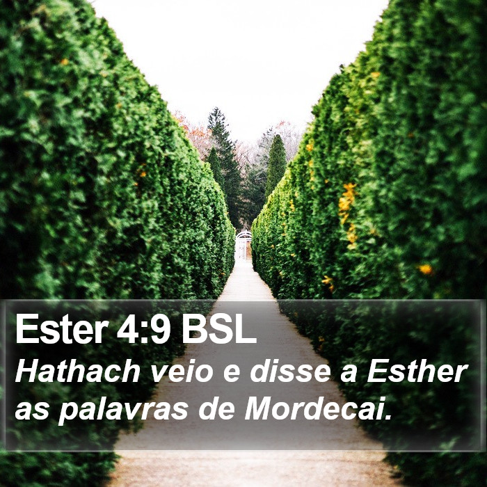 Ester 4:9 BSL Bible Study