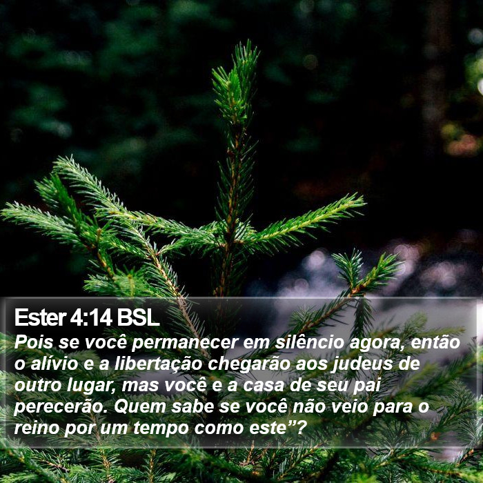 Ester 4:14 BSL Bible Study