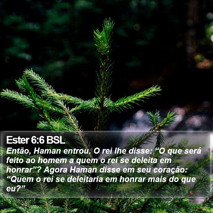 Ester 6:6 BSL Bible Study