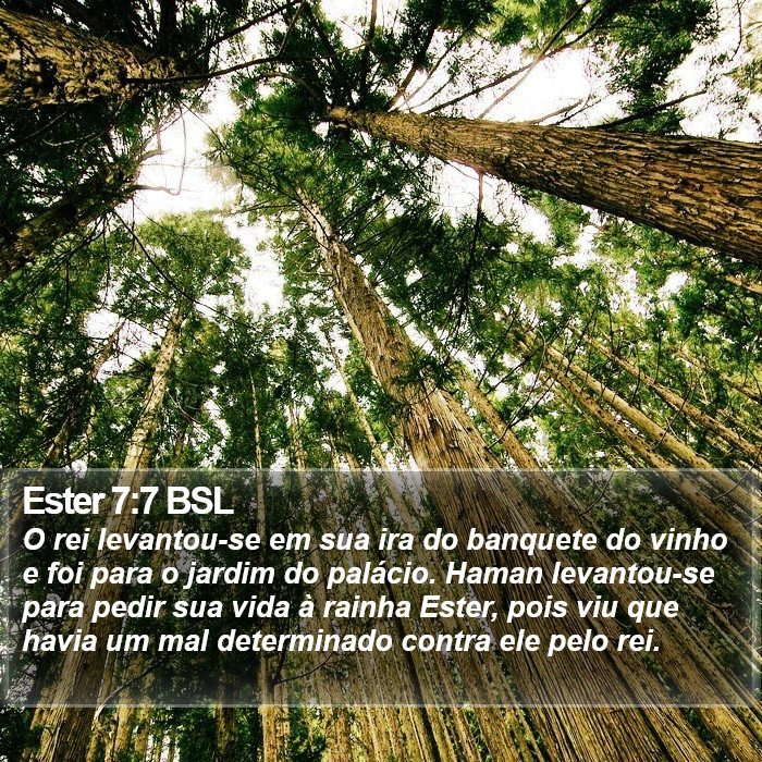 Ester 7:7 BSL Bible Study