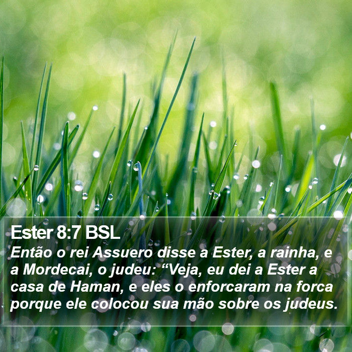 Ester 8:7 BSL Bible Study