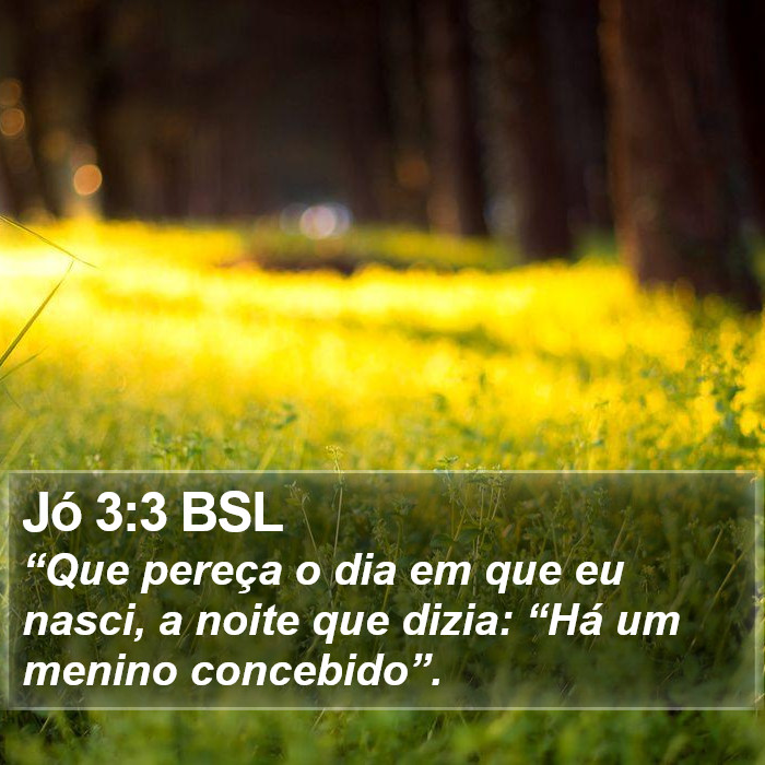 Jó 3:3 BSL Bible Study