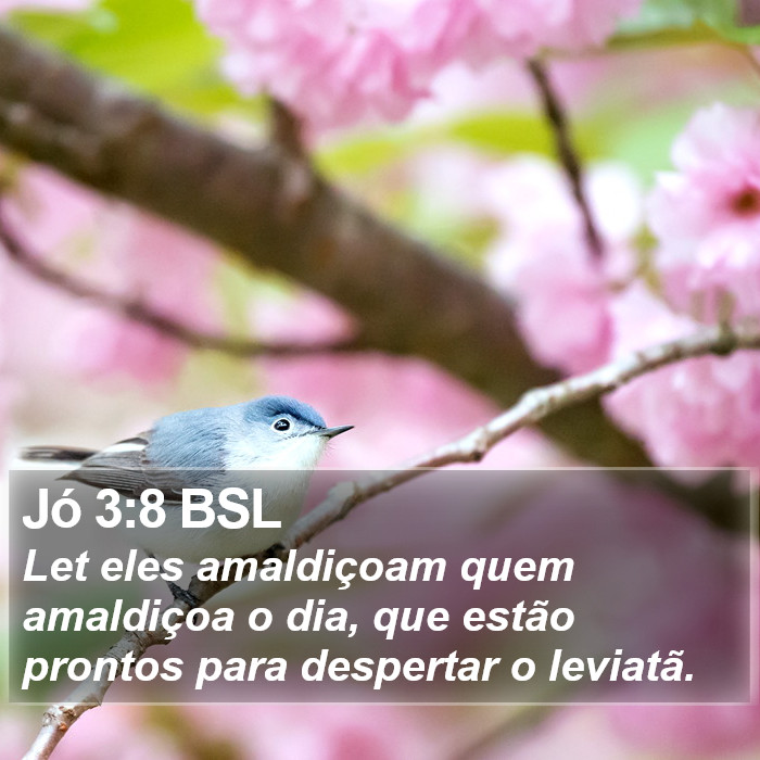 Jó 3:8 BSL Bible Study