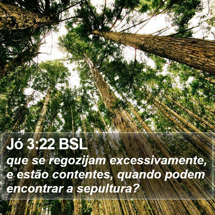 Jó 3:22 BSL Bible Study