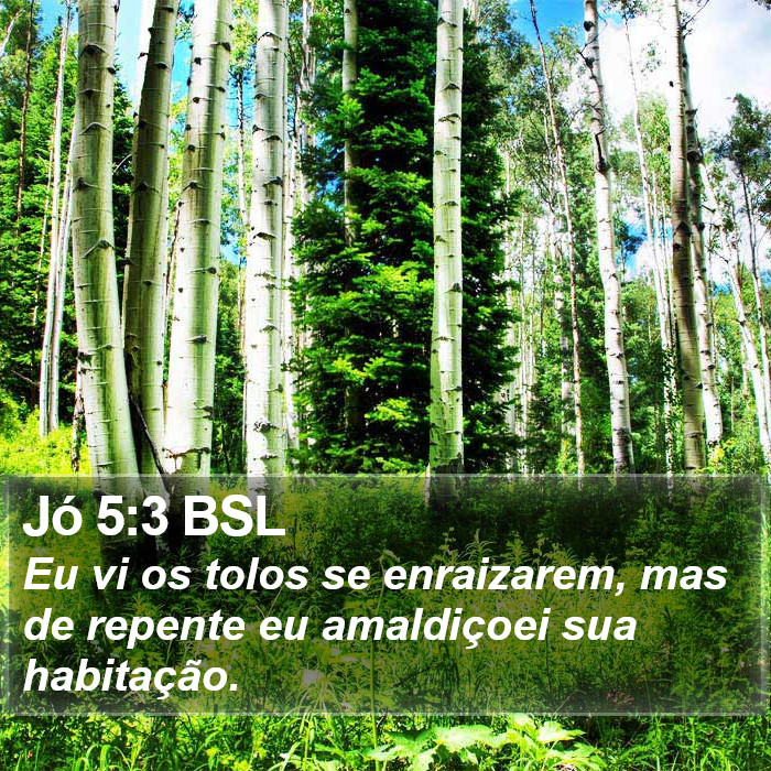 Jó 5:3 BSL Bible Study