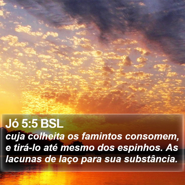 Jó 5:5 BSL Bible Study