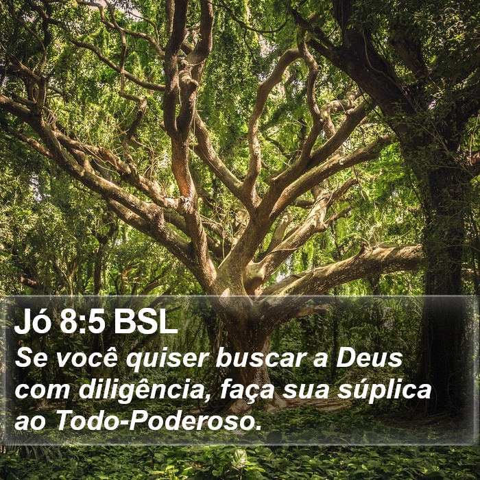 Jó 8:5 BSL Bible Study