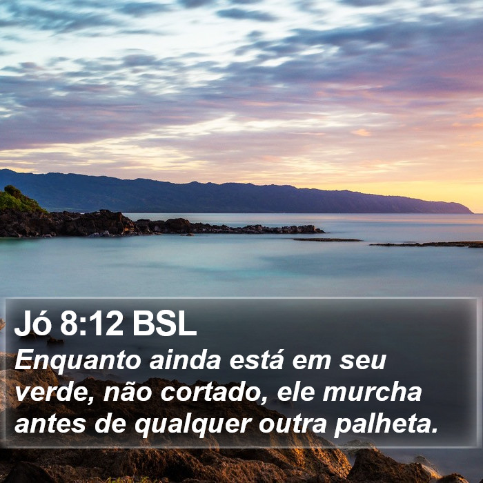 Jó 8:12 BSL Bible Study