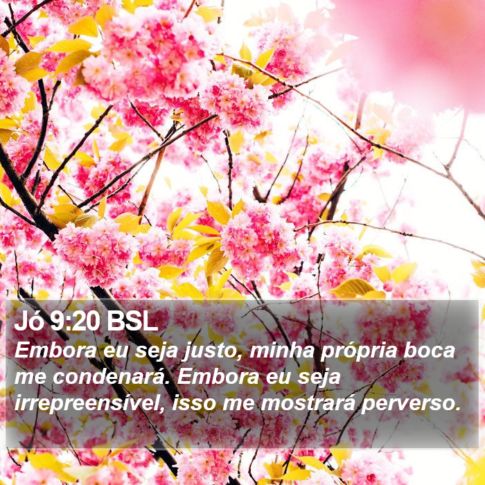 Jó 9:20 BSL Bible Study