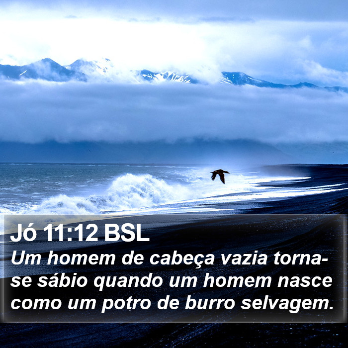 Jó 11:12 BSL Bible Study