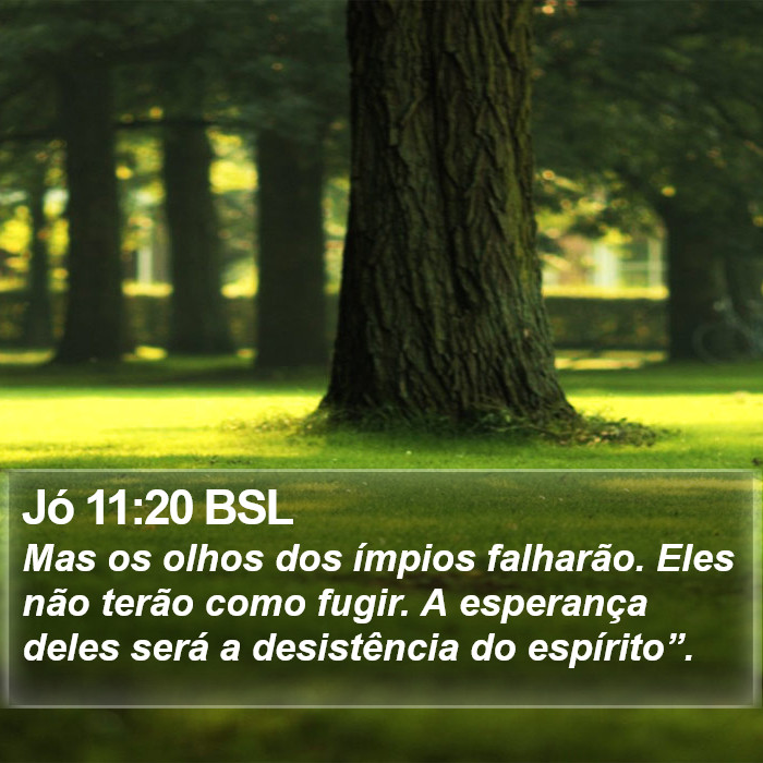 Jó 11:20 BSL Bible Study