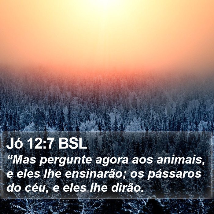 Jó 12:7 BSL Bible Study