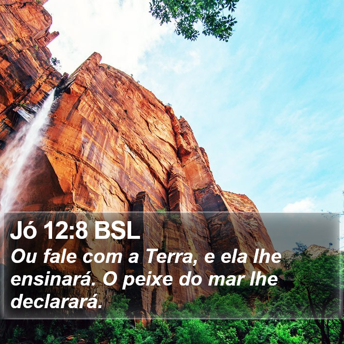 Jó 12:8 BSL Bible Study