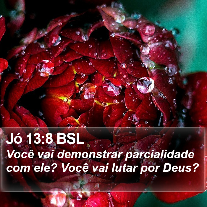 Jó 13:8 BSL Bible Study