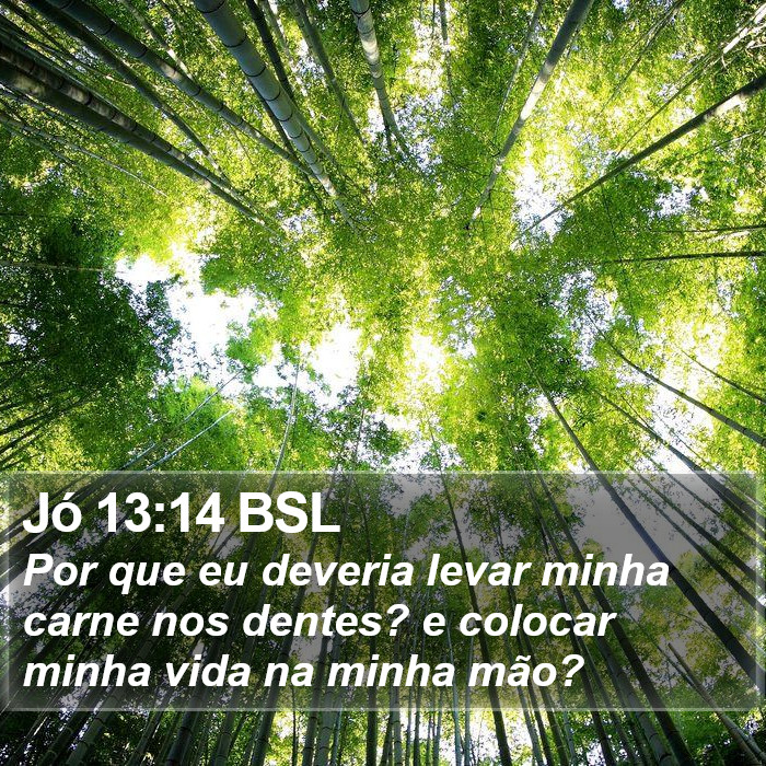 Jó 13:14 BSL Bible Study