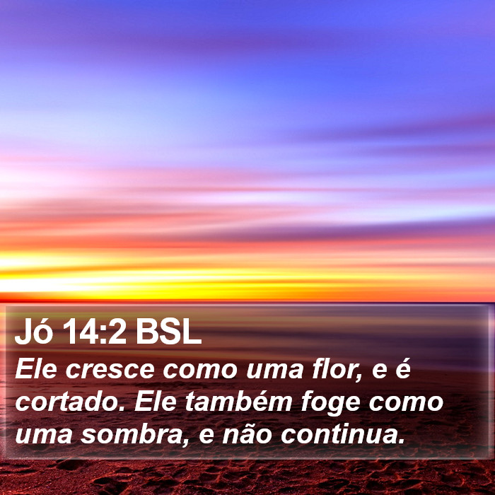 Jó 14:2 BSL Bible Study