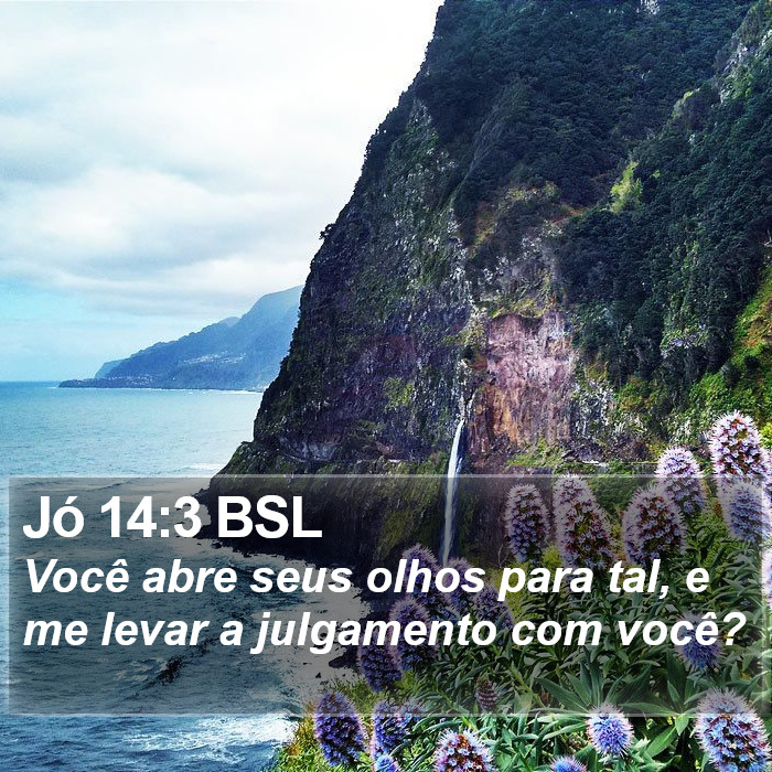 Jó 14:3 BSL Bible Study