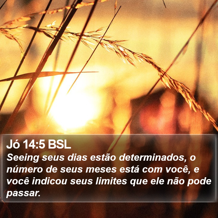 Jó 14:5 BSL Bible Study