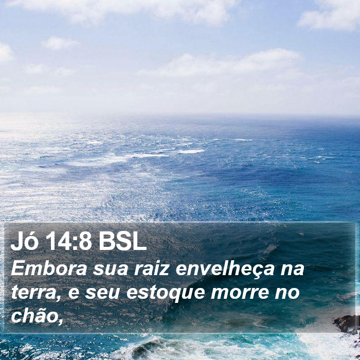 Jó 14:8 BSL Bible Study