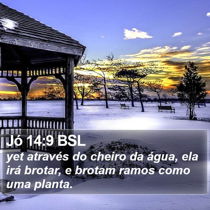 Jó 14:9 BSL Bible Study