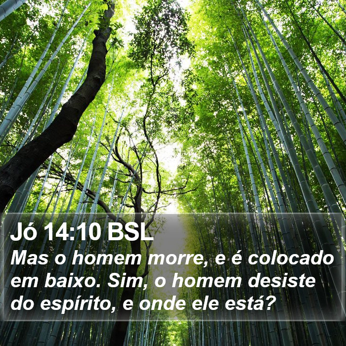 Jó 14:10 BSL Bible Study