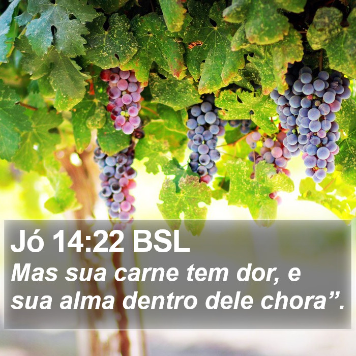 Jó 14:22 BSL Bible Study