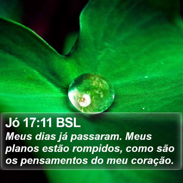 Jó 17:11 BSL Bible Study