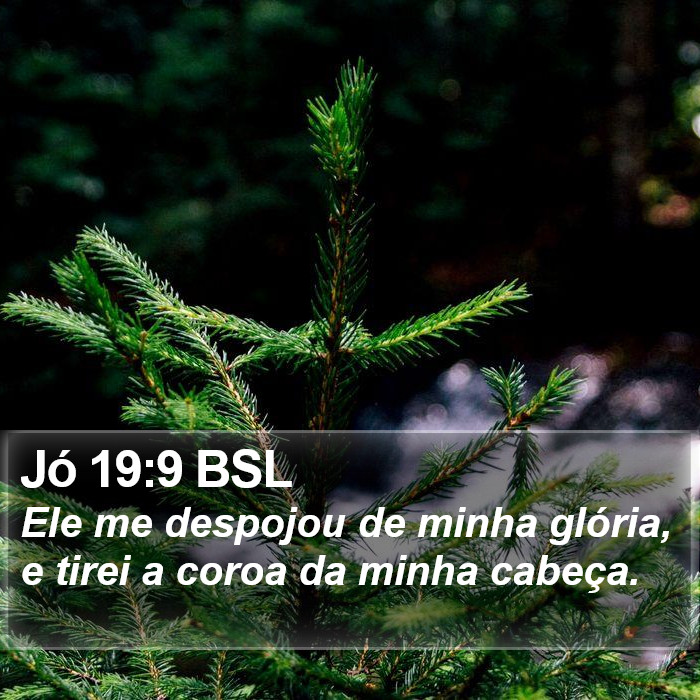 Jó 19:9 BSL Bible Study
