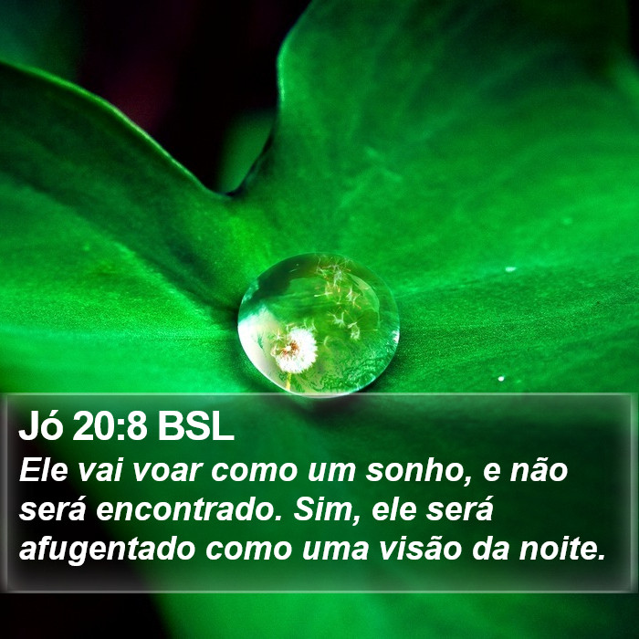 Jó 20:8 BSL Bible Study