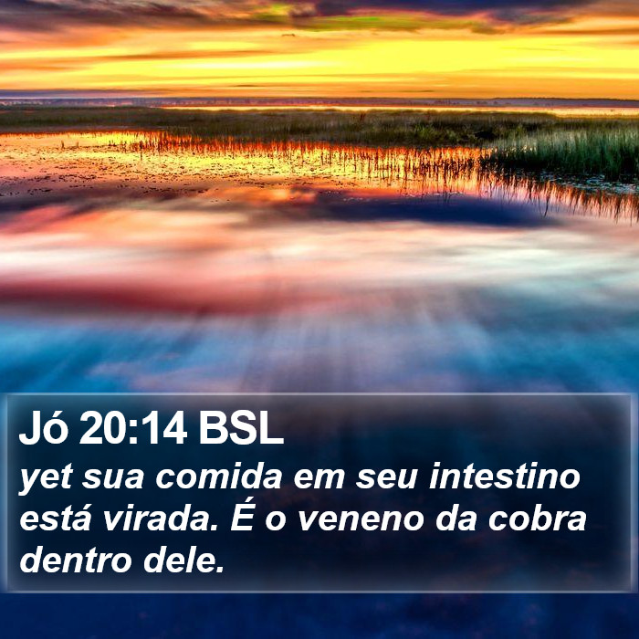 Jó 20:14 BSL Bible Study