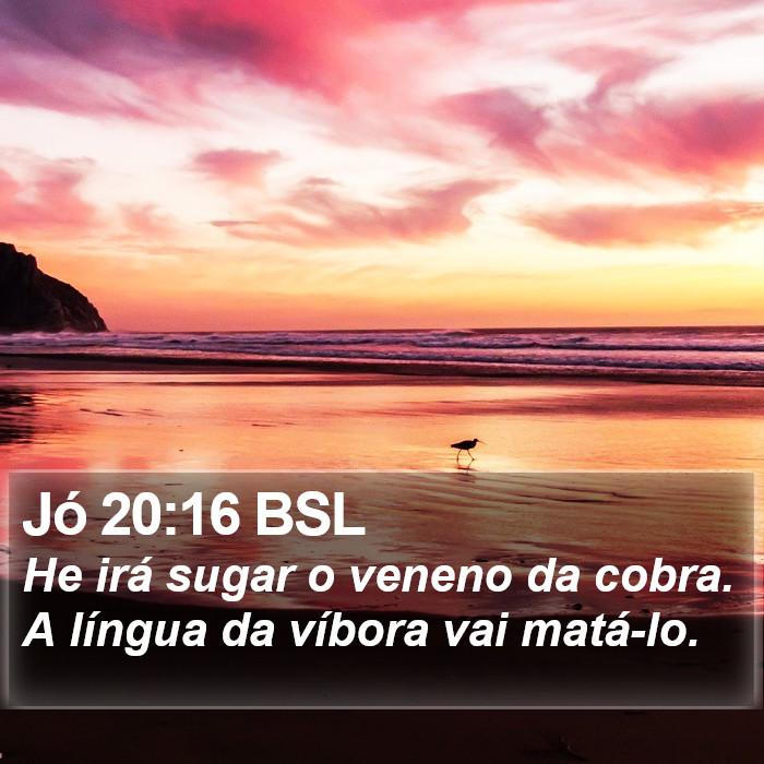 Jó 20:16 BSL Bible Study