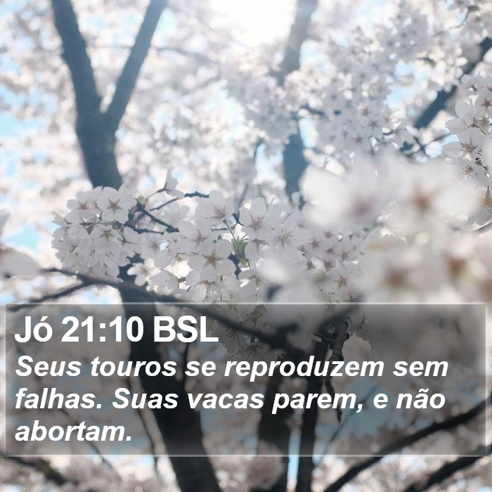 Jó 21:10 BSL Bible Study