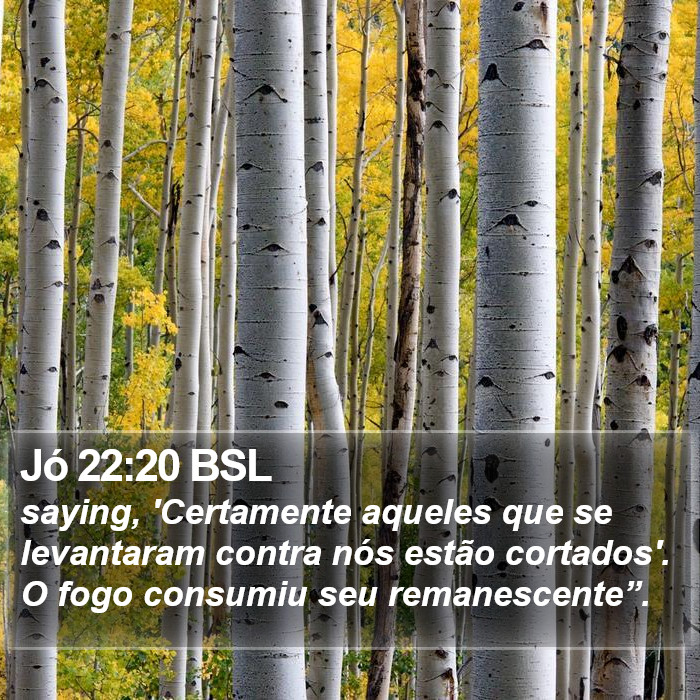 Jó 22:20 BSL Bible Study