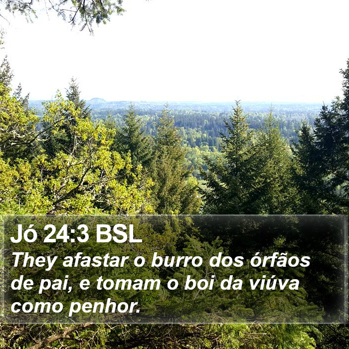 Jó 24:3 BSL Bible Study