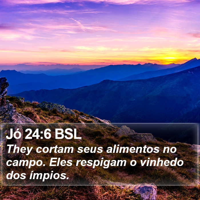 Jó 24:6 BSL Bible Study