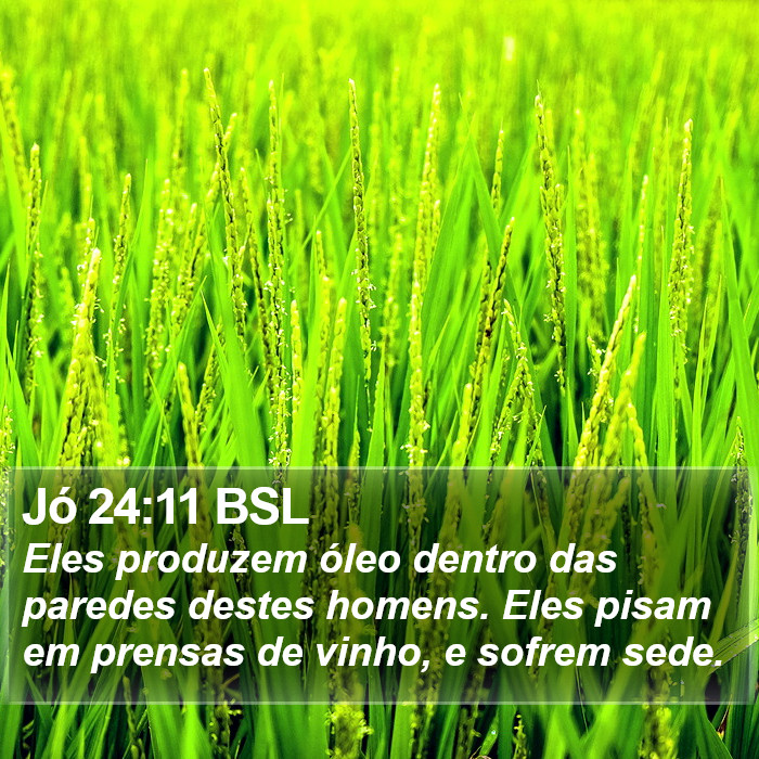 Jó 24:11 BSL Bible Study