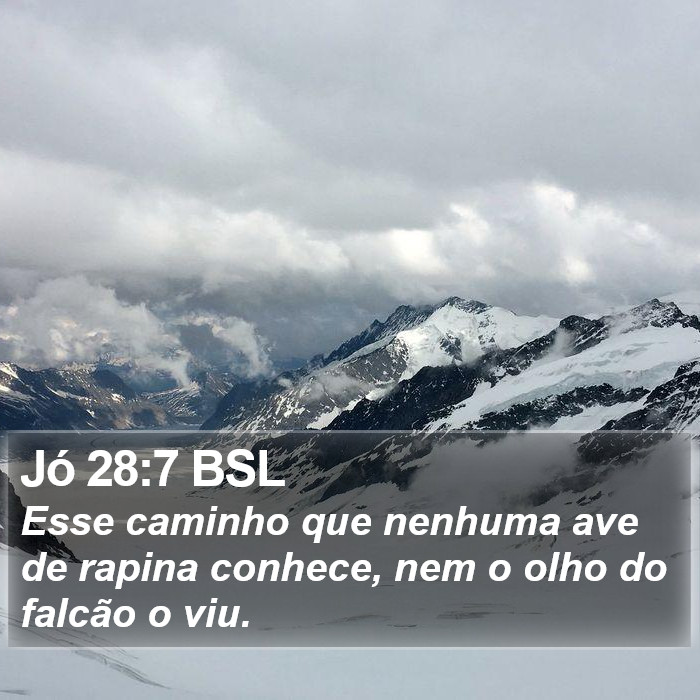 Jó 28:7 BSL Bible Study