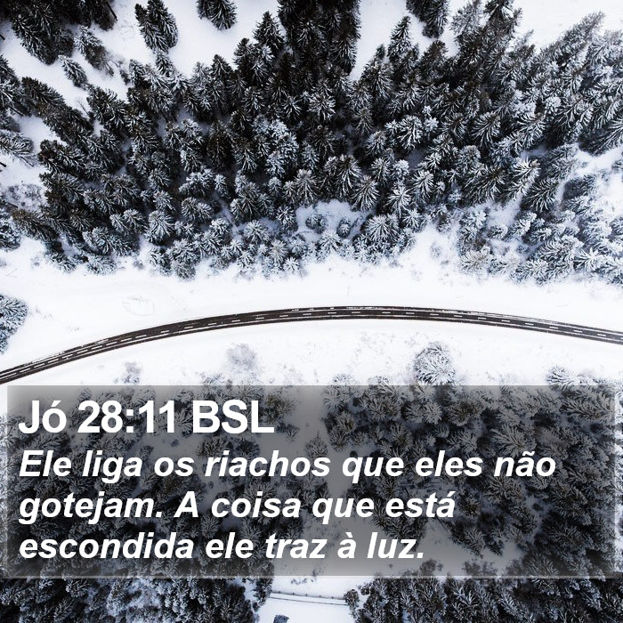 Jó 28:11 BSL Bible Study