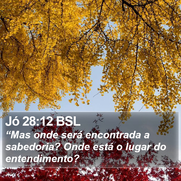 Jó 28:12 BSL Bible Study