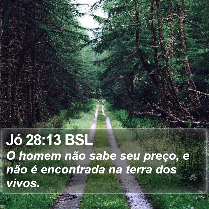 Jó 28:13 BSL Bible Study