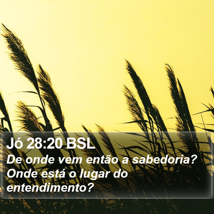 Jó 28:20 BSL Bible Study