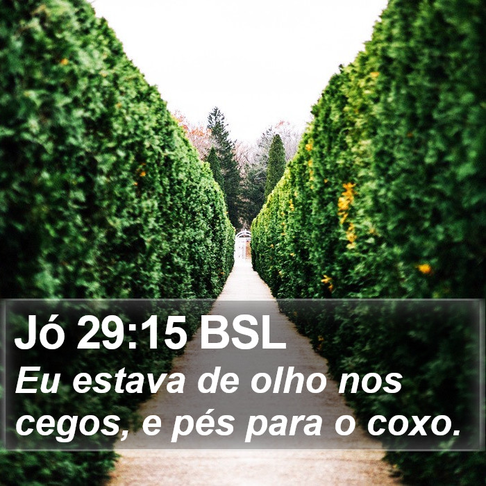 Jó 29:15 BSL Bible Study