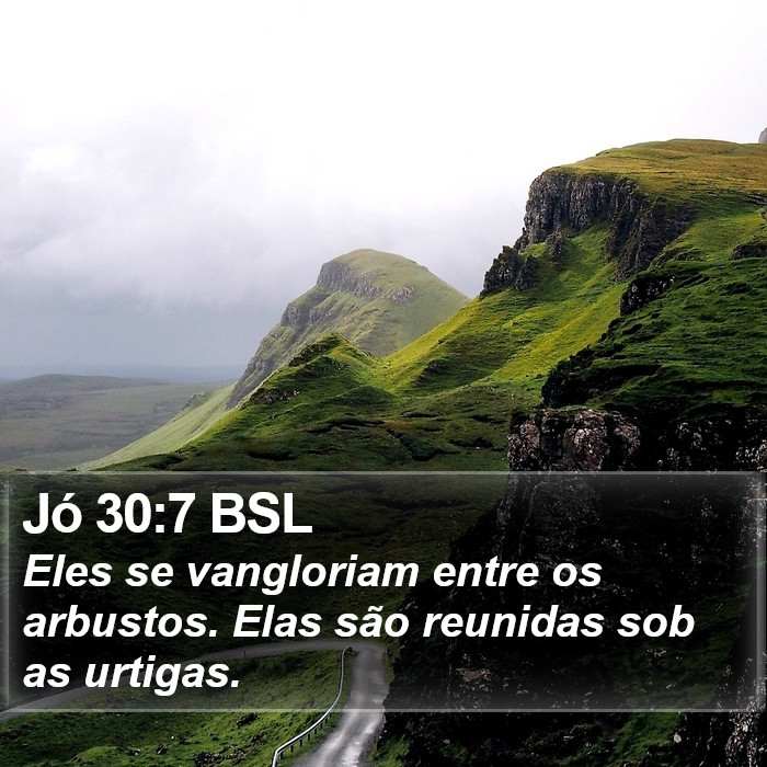 Jó 30:7 BSL Bible Study