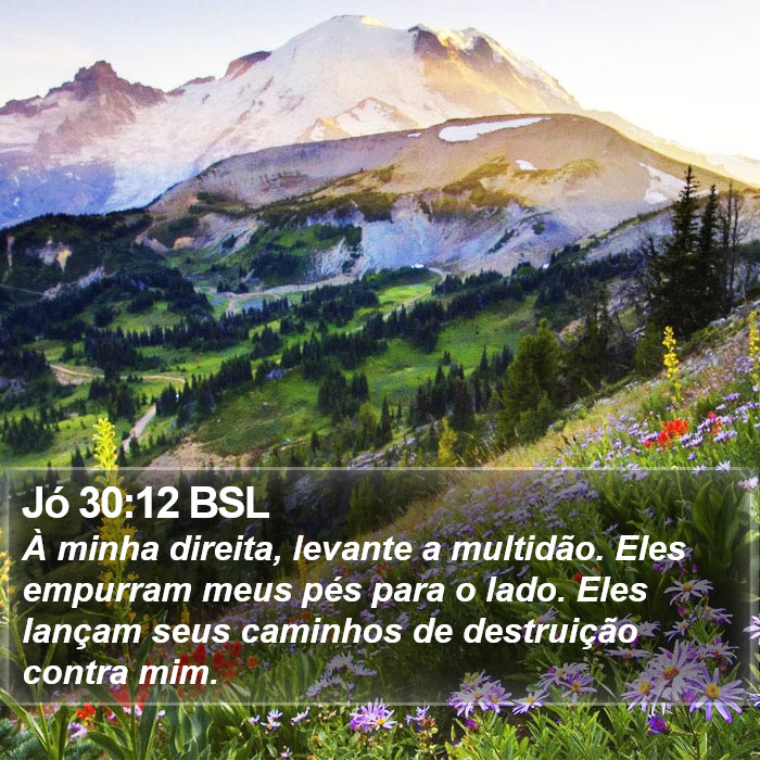 Jó 30:12 BSL Bible Study