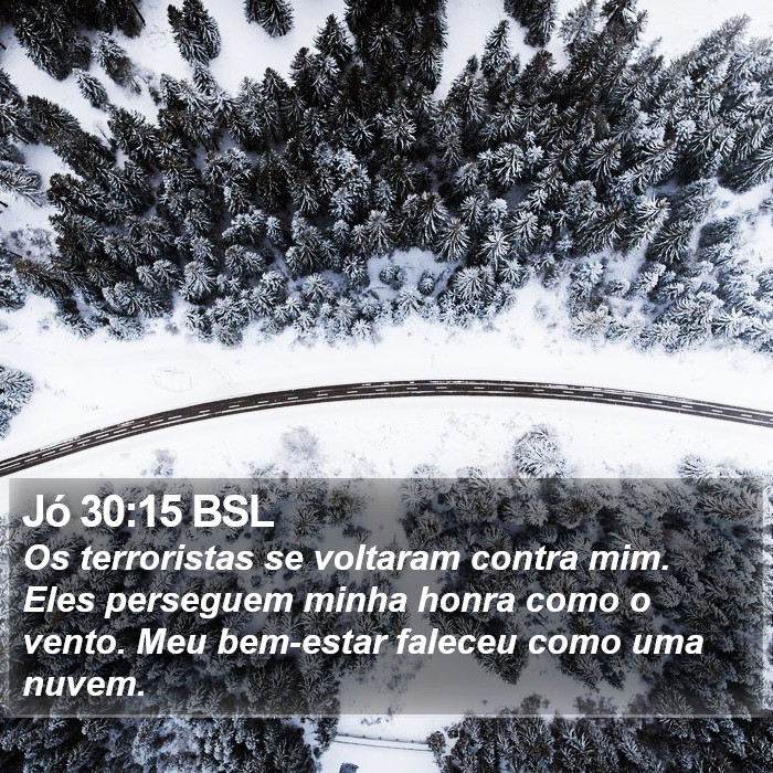 Jó 30:15 BSL Bible Study