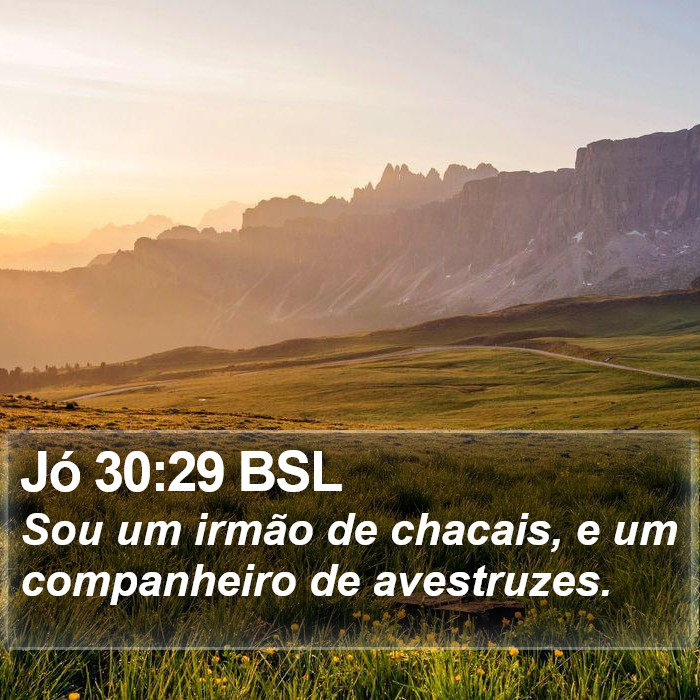 Jó 30:29 BSL Bible Study