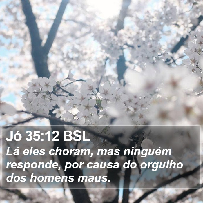 Jó 35:12 BSL Bible Study