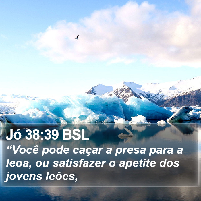 Jó 38:39 BSL Bible Study